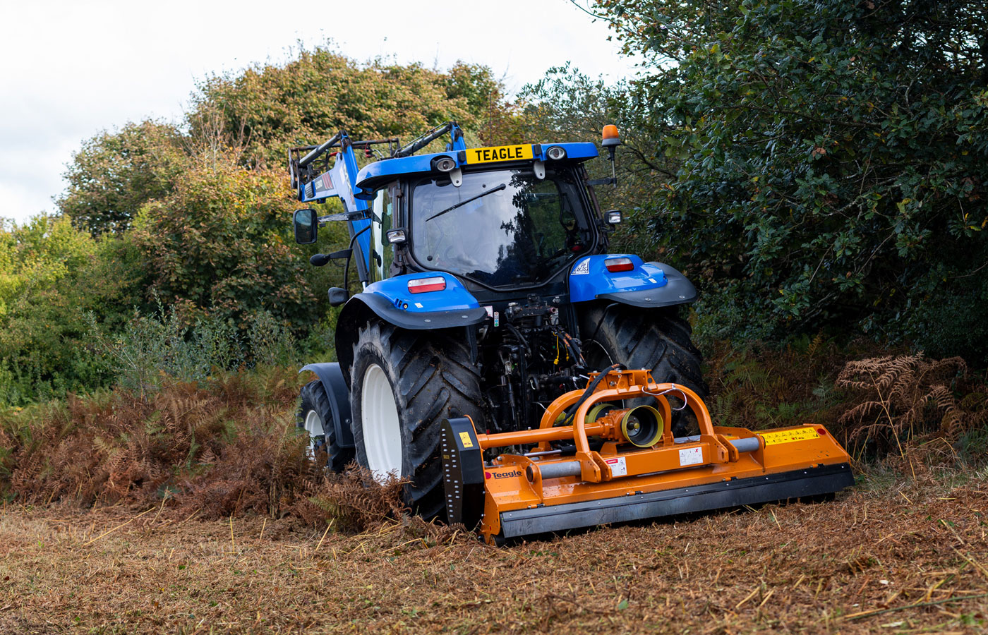 BiMAX working