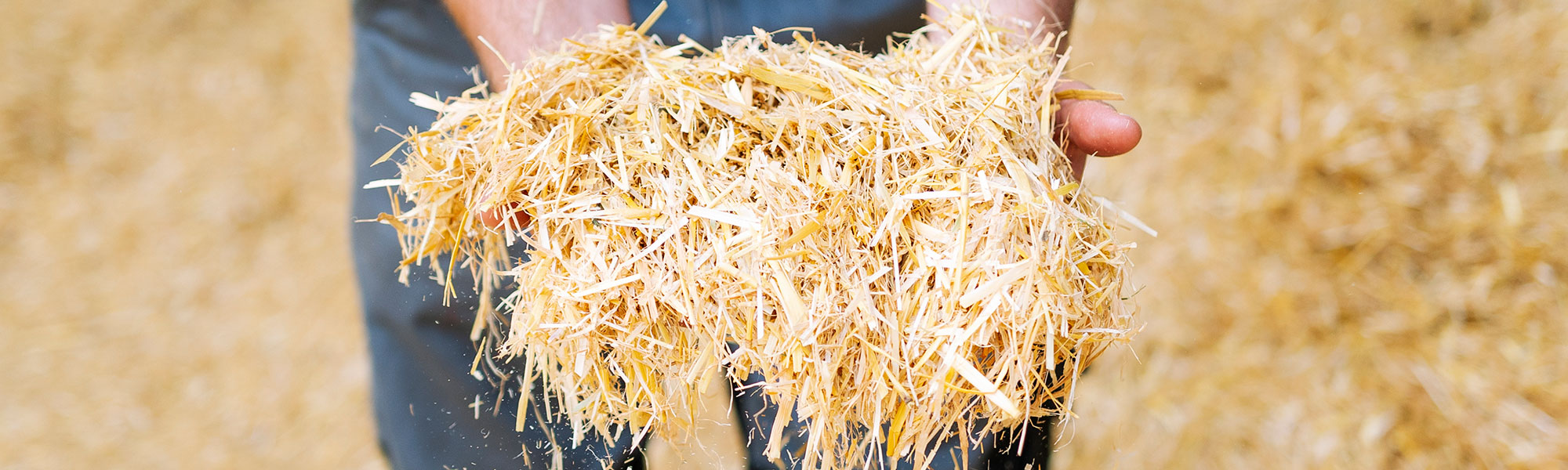 Chopped straw